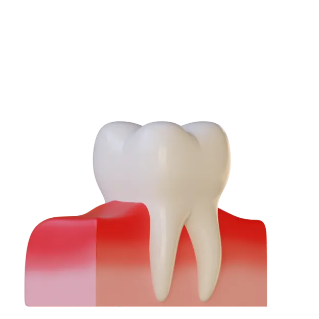 Услуги и цены